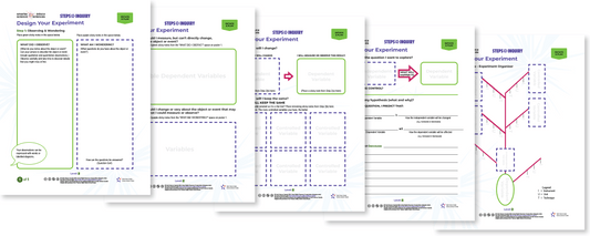 Steps to Inquiry Posters (Level 2)